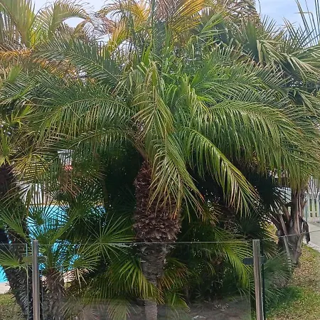 Tirma Nyaraló Playa del Inglés