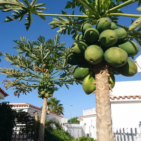 Tirma Playa del Ingles (Gran Canaria)